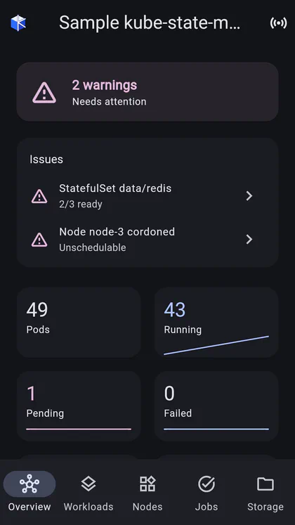 Cluster health, ranked by issue