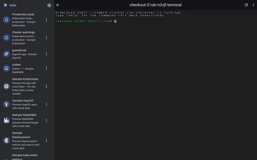 An interactive shell in a container. Shown here against the sample cluster's simulated shell, which is why it says no container is running.