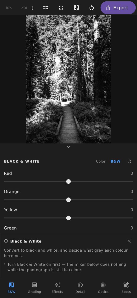 The black and white panel with the band mixer and a row of monochrome preset thumbnails
