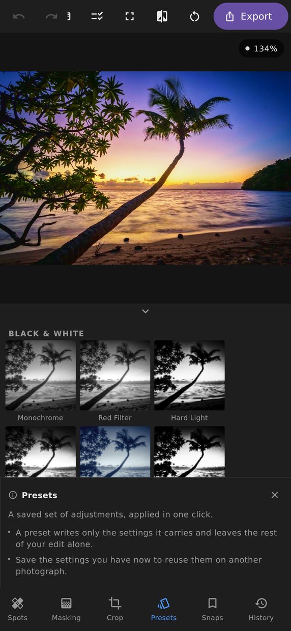 The presets panel showing a grid of preset thumbnails rendered from the current photograph